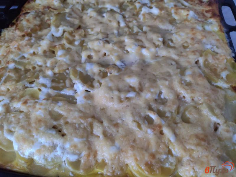 Фото приготовление рецепта: Запеканка из картофеля с мясом шаг №9