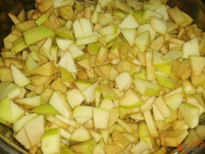 Фото приготовление рецепта: Яблочная начинка на зиму шаг №2