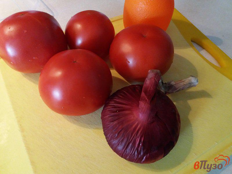 Фото приготовление рецепта: Салат из помидоров и красного лука шаг №1