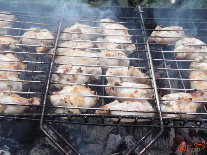 Фото приготовление рецепта: Куриные крылья в мятно-лимонном маринаде на углях шаг №6