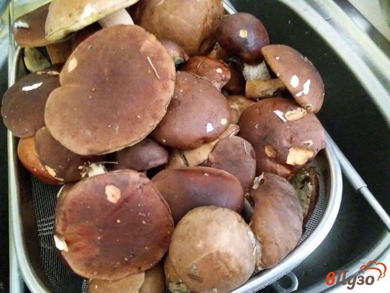 Фото приготовление рецепта: Маринованные моховики или польские грибы шаг №1