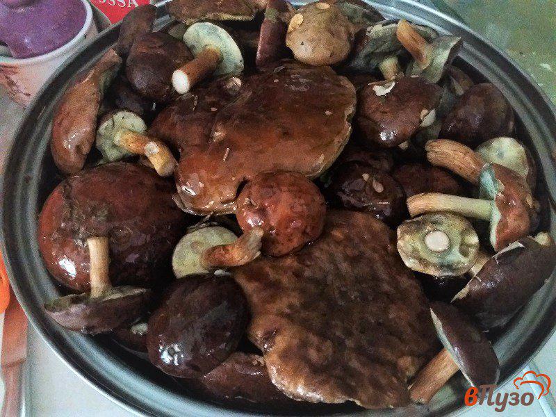 Фото приготовление рецепта: Маринованные моховики или польские грибы шаг №2