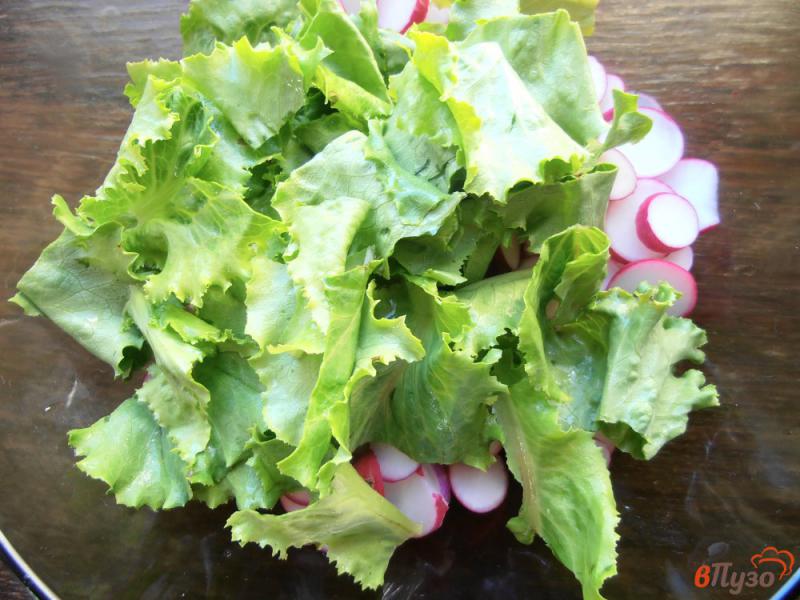Фото приготовление рецепта: Салат из редиса и кукурузы шаг №2