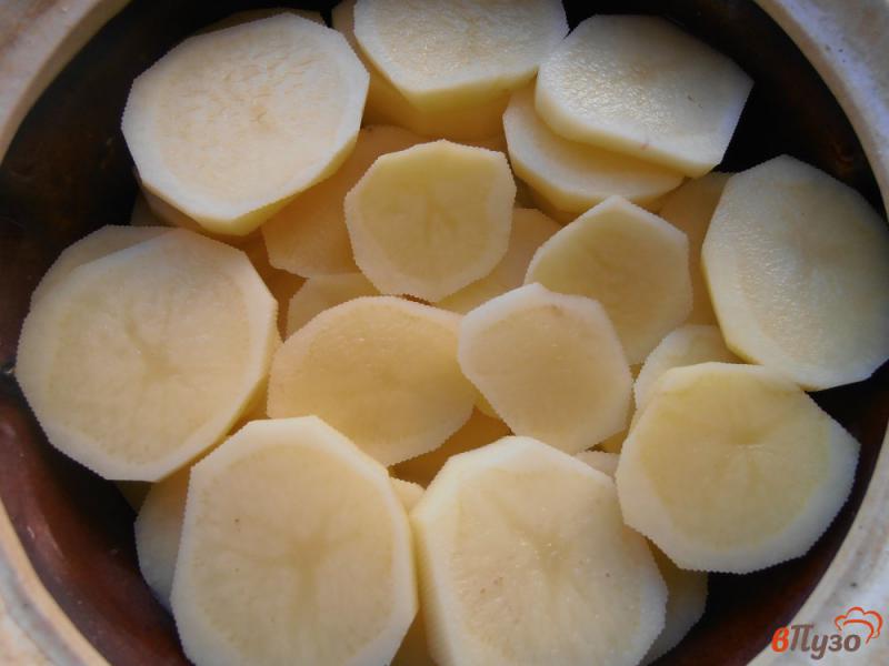 Фото приготовление рецепта: Картофель с килькой шаг №2