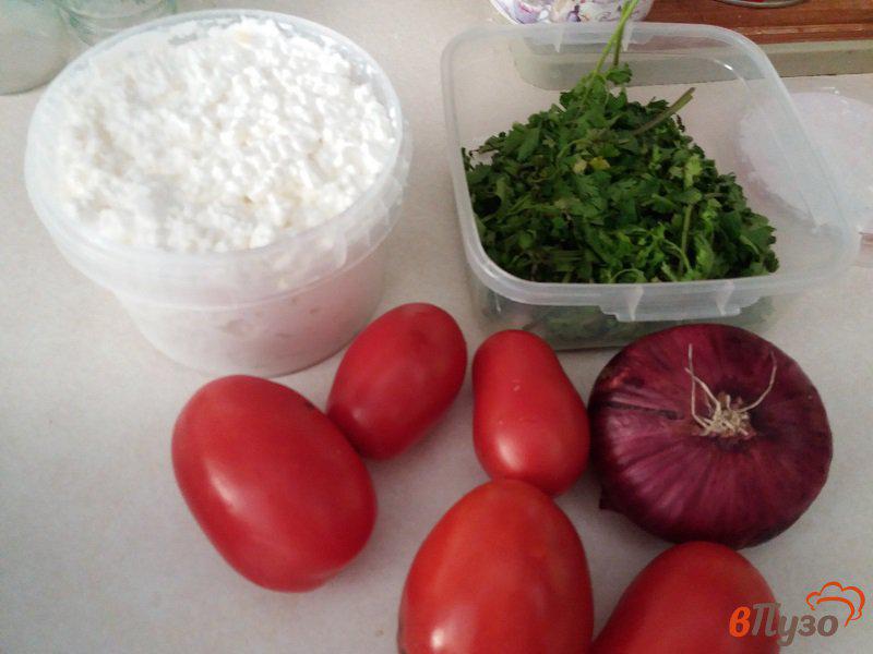 Фото приготовление рецепта: Салат из томатов, творога и кинзы шаг №1