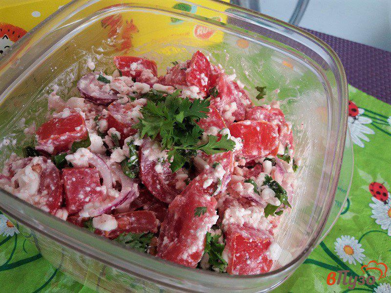 Фото приготовление рецепта: Салат из томатов, творога и кинзы шаг №9