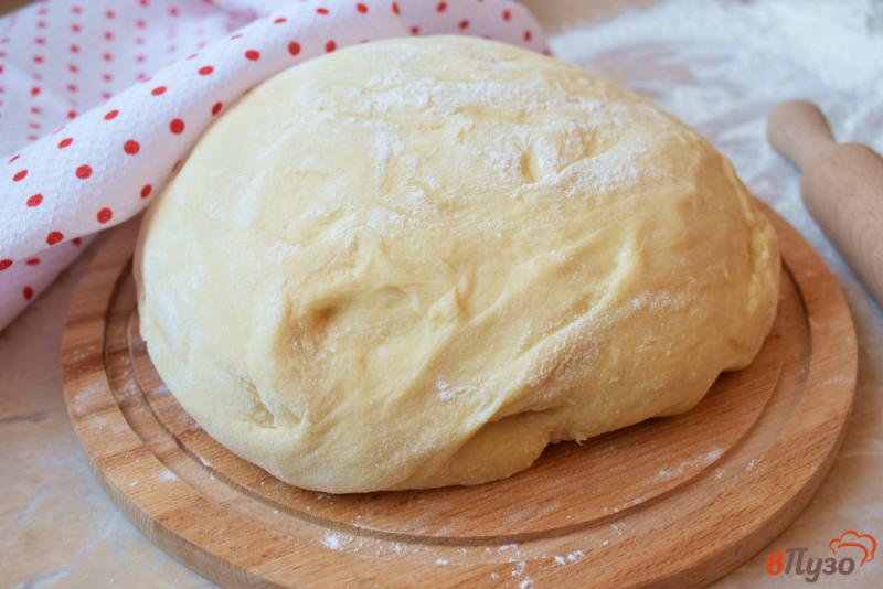 Фото приготовление рецепта: Дрожжевое тесто в хлебопечке шаг №5