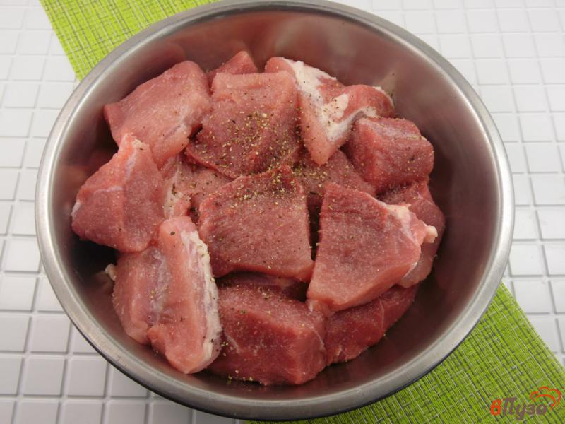 Фото приготовление рецепта: Шашлык из свинины в яблочном маринаде шаг №1