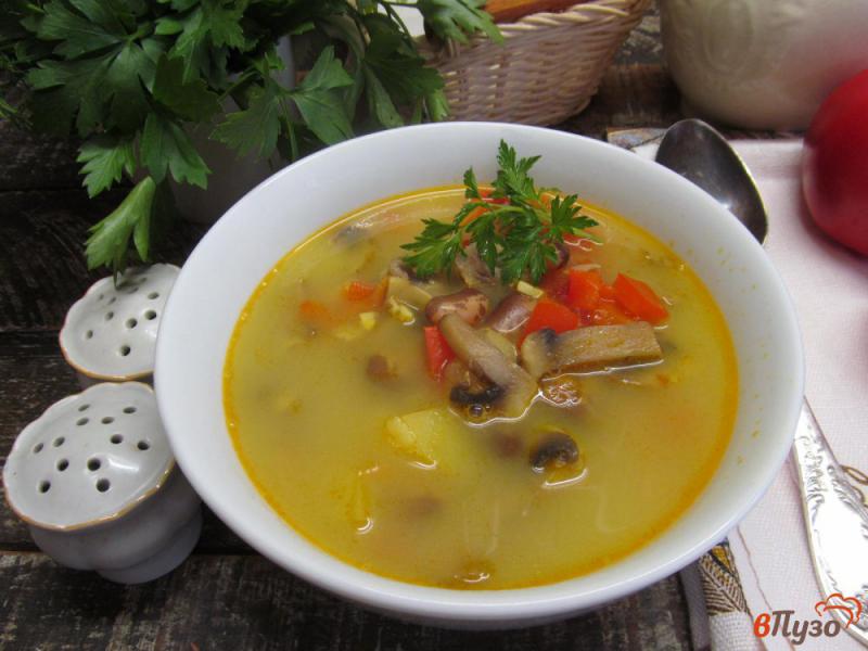 Фото приготовление рецепта: Суп с куриными желудочками фасолью и вермишелью шаг №10