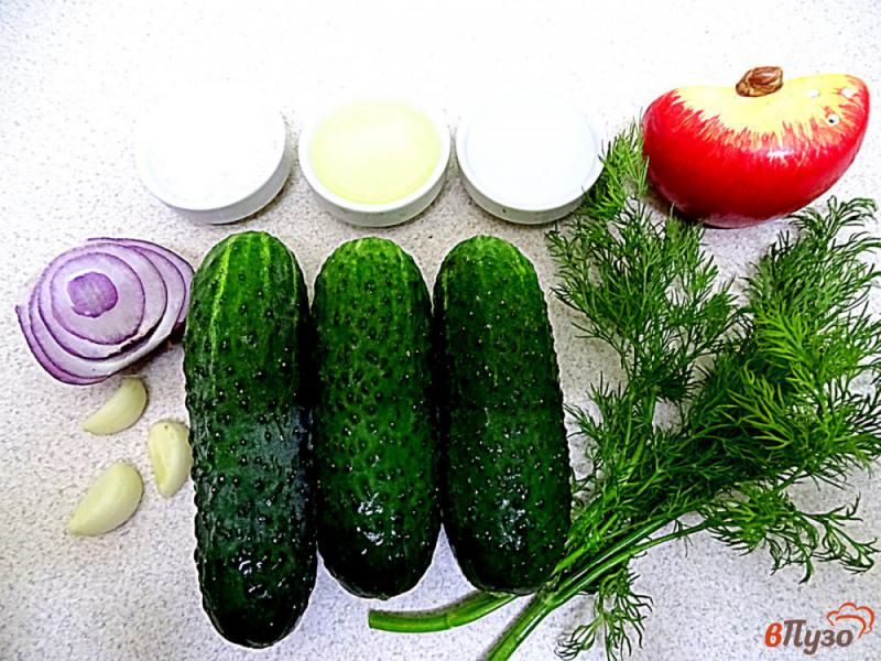 Фото приготовление рецепта: Салат из свежих огурцов чеснока и зелени шаг №1