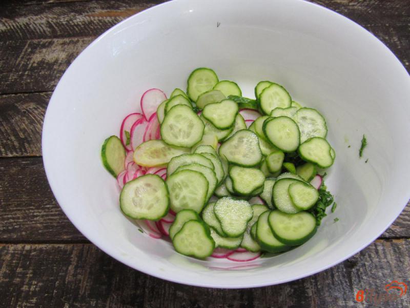 Фото приготовление рецепта: Салат из огурца с редиской и ее листвой шаг №4