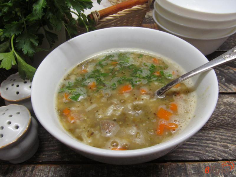 Фото приготовление рецепта: Суп на мясном фарше с рисом и машем шаг №8