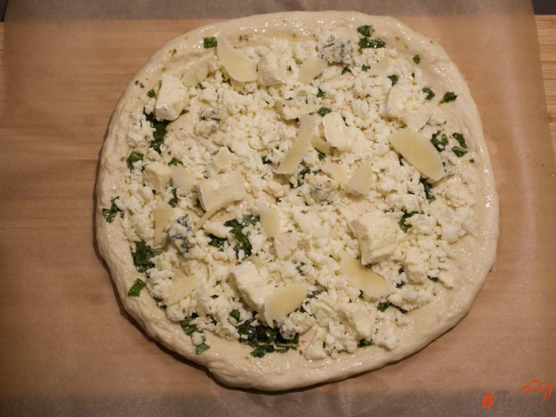 Фото приготовление рецепта: Пицца четыре сыра шаг №10