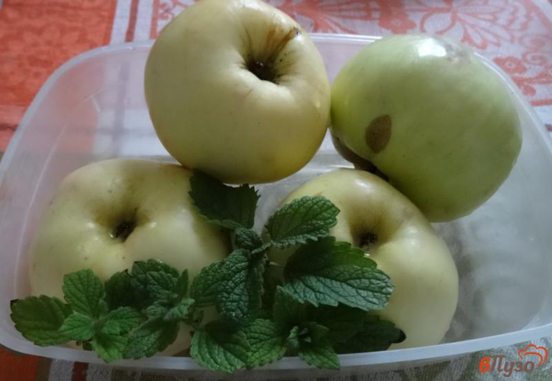 Фото приготовление рецепта: Компот из яблок с мелиссой без сахара на зиму шаг №1