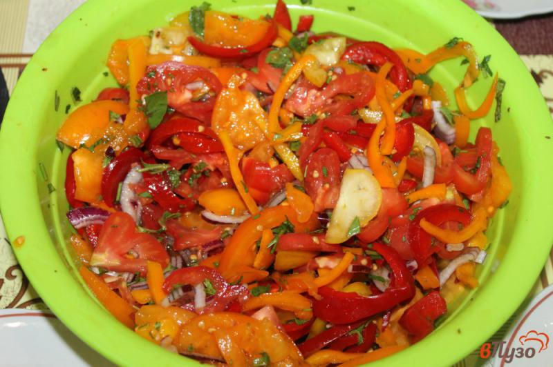Фото приготовление рецепта: Салат из перца с красным луком шаг №4