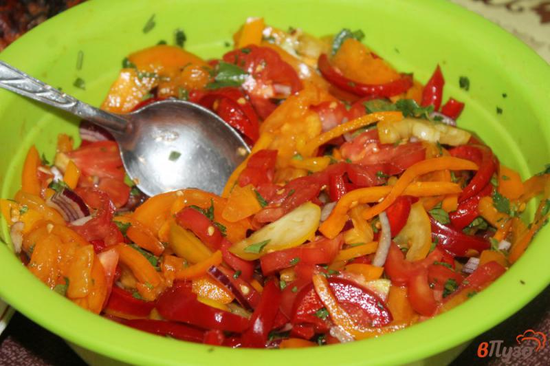 Фото приготовление рецепта: Салат из перца с красным луком шаг №5