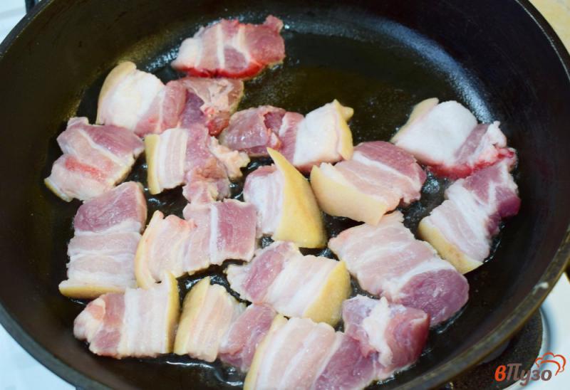 Фото приготовление рецепта: Поджарка с луком из свиной грудинки шаг №2