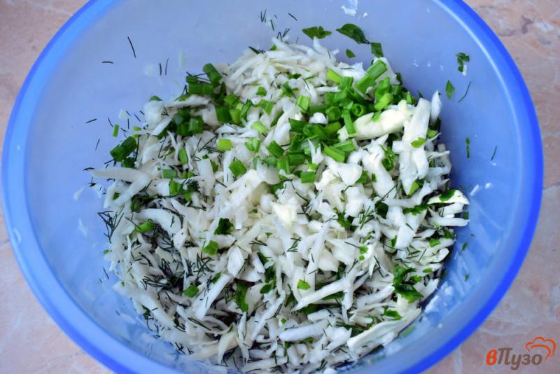 Фото приготовление рецепта: Салат из капусты с зеленью шаг №3