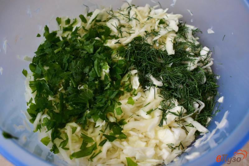 Фото приготовление рецепта: Салат из капусты с зеленью шаг №2