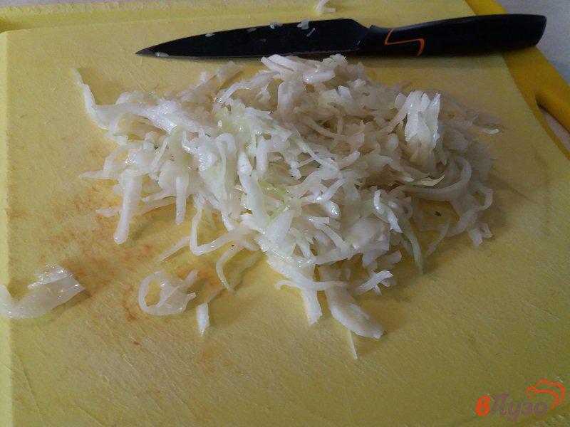 Фото приготовление рецепта: Овощной салат из свежей капусты и помидор шаг №1