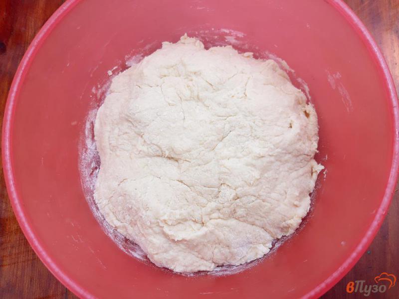 Фото приготовление рецепта: Пирожки дрожжевые с яблоками шаг №3