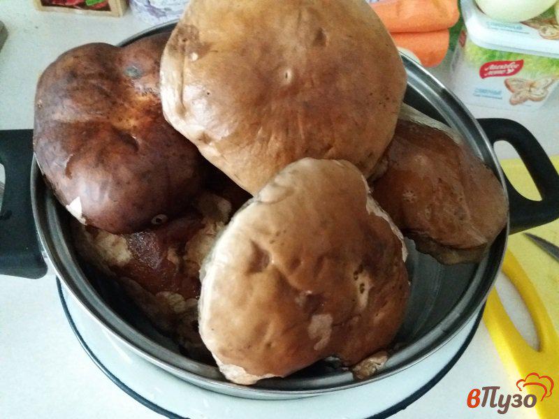 Фото приготовление рецепта: Тушеный картофель с белыми грибами шаг №1