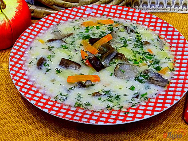 Фото приготовление рецепта: Суп с опятами и сметаной шаг №9