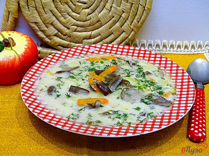 Фото приготовление рецепта: Суп с опятами и сметаной шаг №10