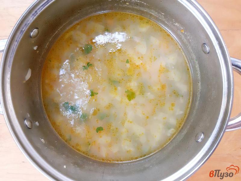 Фото приготовление рецепта: Суп фасолевый с говядиной шаг №10