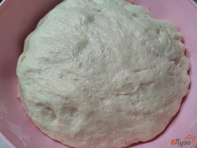 Фото приготовление рецепта: Творожно-дрожжевое тесто для пирожков шаг №10