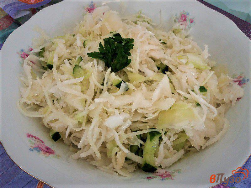 Фото приготовление рецепта: Салат из свежей капусты с огурцами шаг №6