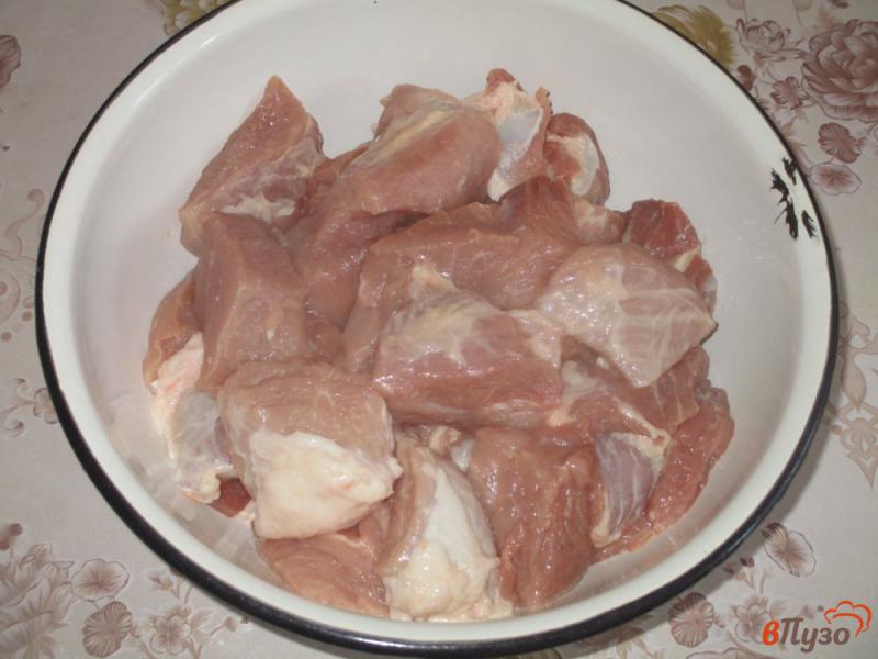 Фото приготовление рецепта: Шашлык из свинины шаг №1