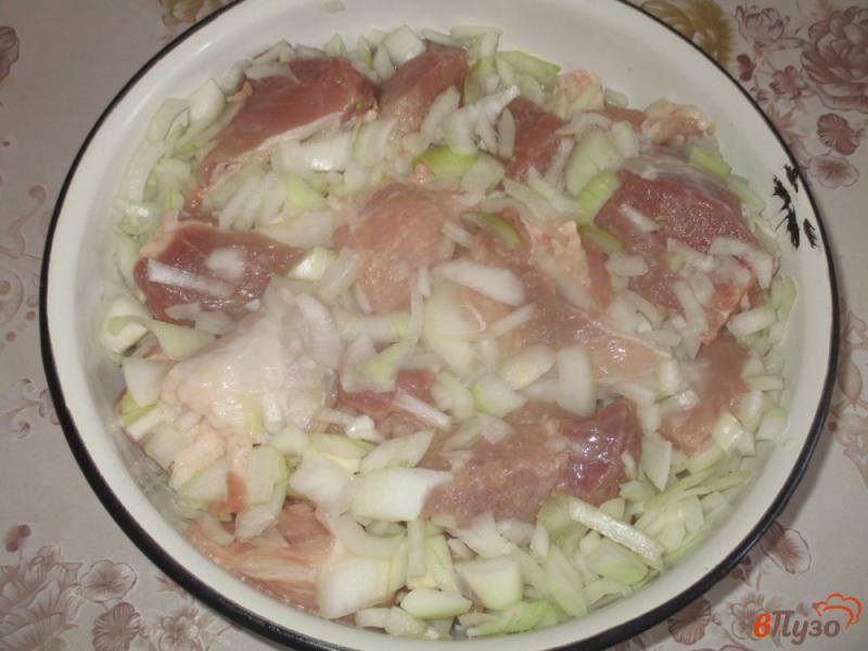 Фото приготовление рецепта: Шашлык из свинины шаг №2