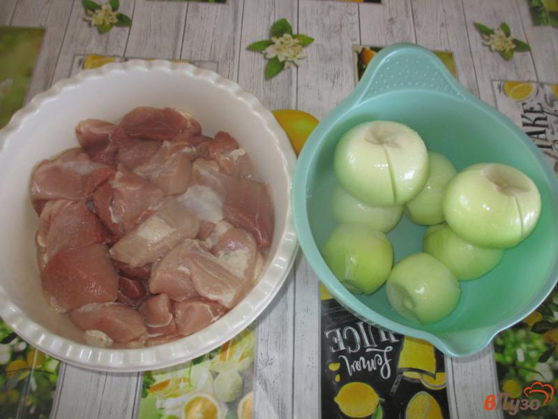 Фото приготовление рецепта: Шашлык из свинины маринованной в аджике шаг №1