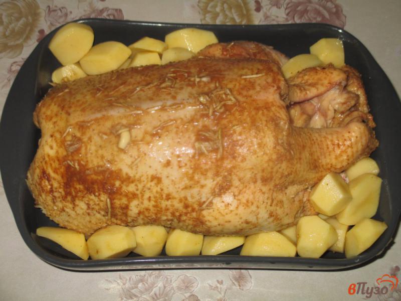 Фото приготовление рецепта: Утка запеченная с картофелем и фейхоа шаг №2