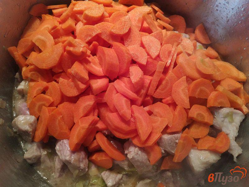 Фото приготовление рецепта: Рагу из свинины с шампиньонами и овощами шаг №5