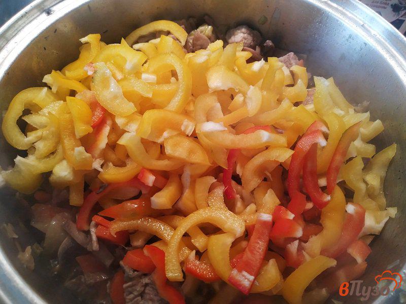 Фото приготовление рецепта: Рагу из свинины с шампиньонами и овощами шаг №7