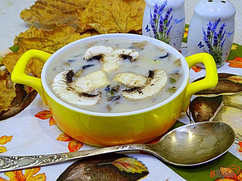 Фото приготовление рецепта: Суп с шампиньонами и плавленым сыром шаг №10