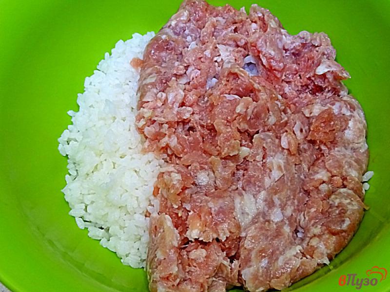 Фото приготовление рецепта: Запеканка из риса и фарша шаг №2