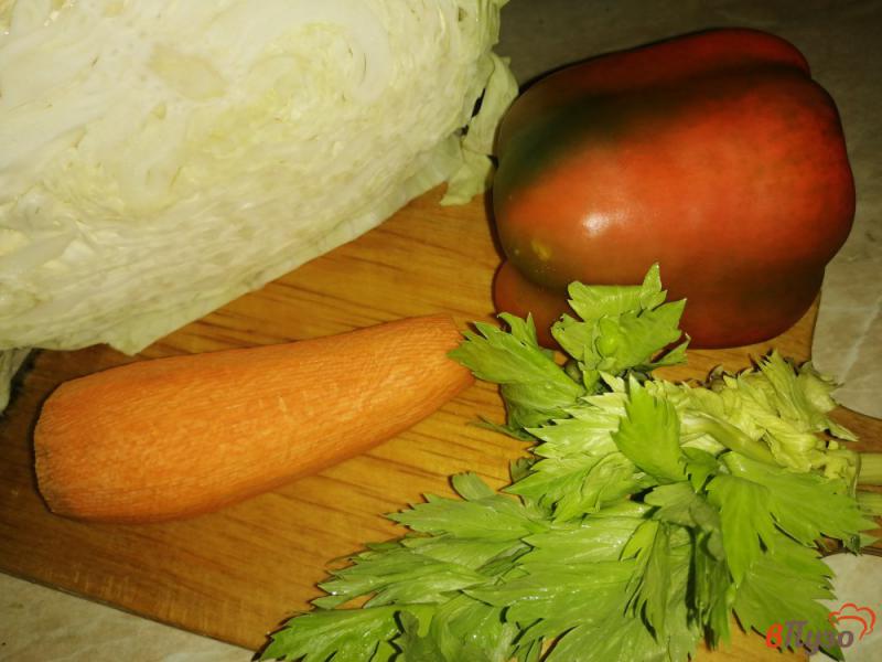 Фото приготовление рецепта: Капуста маринованная с перцем и морковью шаг №1