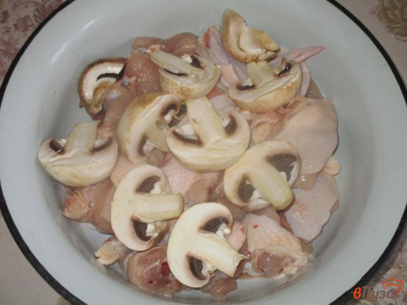 Фото приготовление рецепта: Шашлык куриный с грибами шаг №1