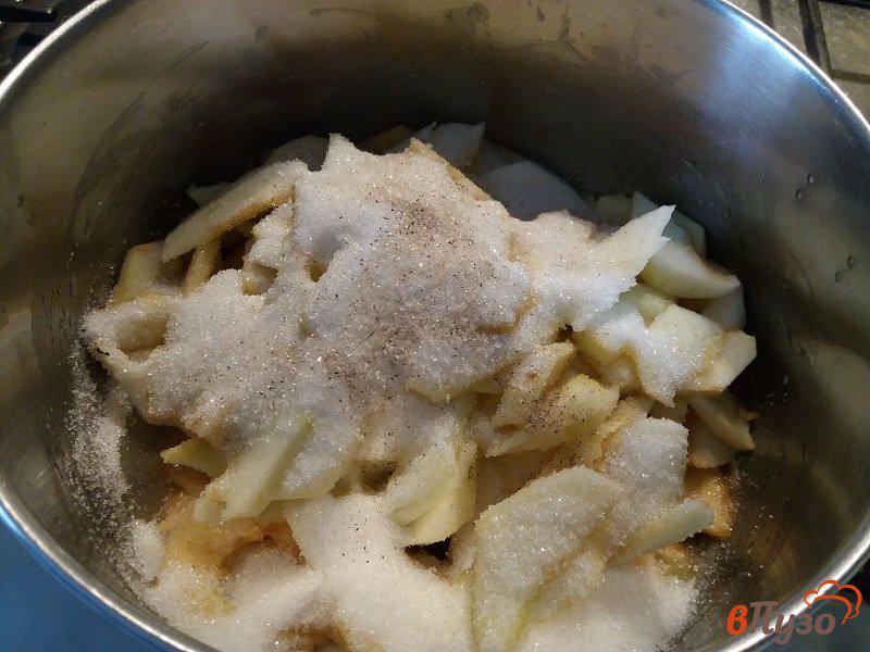 Фото приготовление рецепта: Яблочный пирог Царский шаг №2
