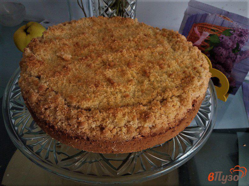 Фото приготовление рецепта: Яблочный пирог Царский шаг №17