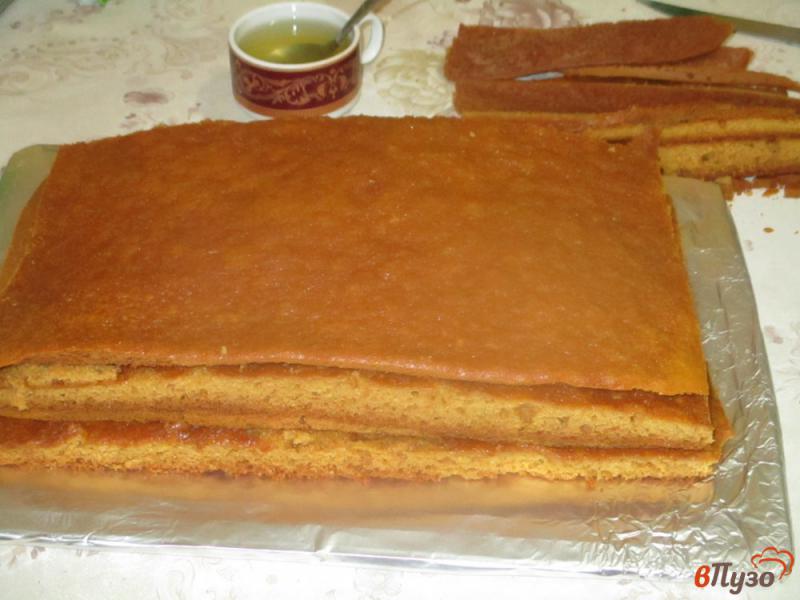 Фото приготовление рецепта: Торт Рыжик с заварным кремом шаг №14