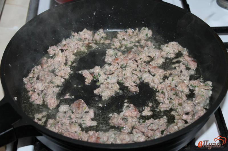 Фото приготовление рецепта: Лаваш с мясом сыром и лесными грибами шаг №1