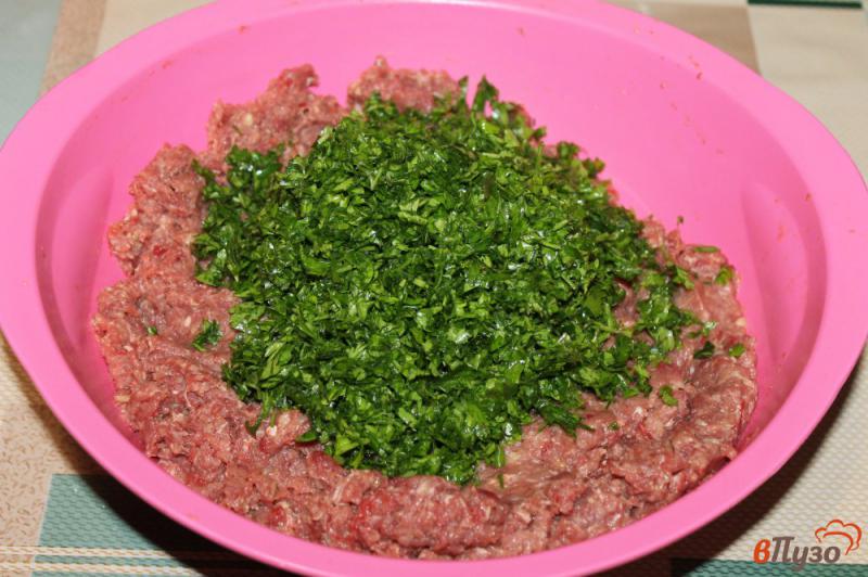 Фото приготовление рецепта: Люля - кебаб по - домашнему на мангале в лаваше шаг №2