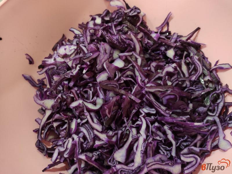Фото приготовление рецепта: Салат из краснокачанной капусты шаг №1