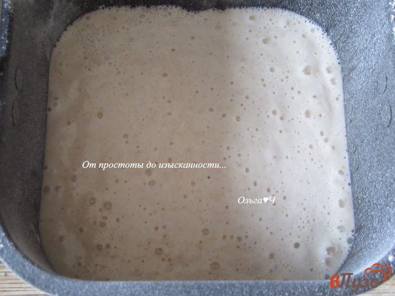 Фото приготовление рецепта: Цельнозерновой хлеб с миксом семечек шаг №4
