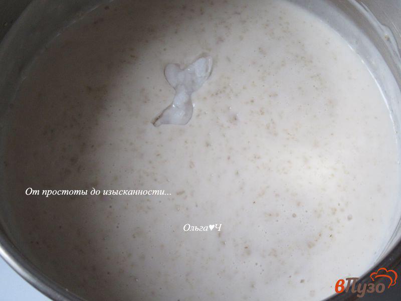 Фото приготовление рецепта: Кокосовая овсянка шаг №3