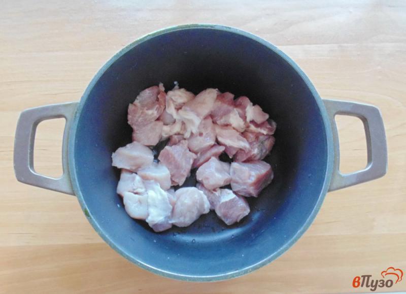 Фото приготовление рецепта: Гуляш из свинины с лапшой шаг №1